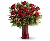 A Christmas Dozen in Scottsdale AZ, Stems Fresh Flower Market