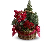 Tannenbaum Basket in Scottsdale AZ, Stems Fresh Flower Market