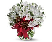 Let It Snow in Scottsdale AZ, Stems Fresh Flower Market