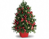 Deck the Halls Tree in Scottsdale AZ, Stems Fresh Flower Market