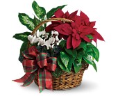Holiday Homecoming Basket in Scottsdale AZ, Stems Fresh Flower Market