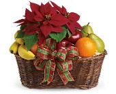 Fruit and Poinsettia Basket in Scottsdale AZ, Stems Fresh Flower Market