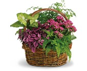 Secret Garden Basket in Scottsdale AZ, Stems Fresh Flower Market