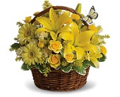 Basket Full of Wishes in Scottsdale�AZ, Stems Fresh Flower Market