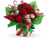 Teleflora's Christmas Present Perfect in Scottsdale AZ, Stems Fresh Flower Market