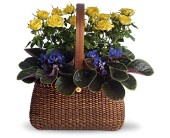 Garden To Go Basket in Scottsdale AZ, Stems Fresh Flower Market