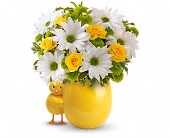 My Little Chickadee by Teleflora in Scottsdale�AZ, Stems Fresh Flower Market