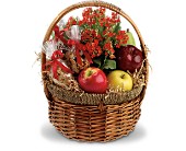 Health Nut Basket in Scottsdale AZ, Stems Fresh Flower Market