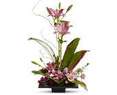 Imagination Blooms in Scottsdale�AZ, Stems Fresh Flower Market