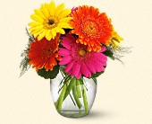 Stems... A Florist, Scottsdale, Arizona - Teleflora�s Fiesta Gerbera Vase, picture
