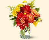 Stems... A Florist, Scottsdale, Arizona - Dazzling Dahlias, picture