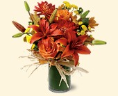 Stems... A Florist, Scottsdale, Arizona - Orange Zest, picture