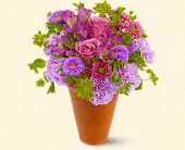 Stems... A Florist, Scottsdale, Arizona - Roman Garden, picture