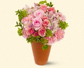 Stems... A Florist, Scottsdale, Arizona - Persian Garden, picture