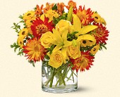 Stems... A Florist, Scottsdale, Arizona - Summer Samba, picture