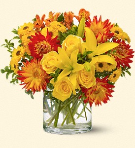 Stems... A Florist, Scottsdale, Arizona - Summer Samba, picture