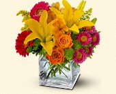 Stems... A Florist, Scottsdale, Arizona - Teleflora's Summertime Splash, picture