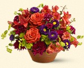 Stems... A Florist, Scottsdale, Arizona - Autumn Celebration, picture