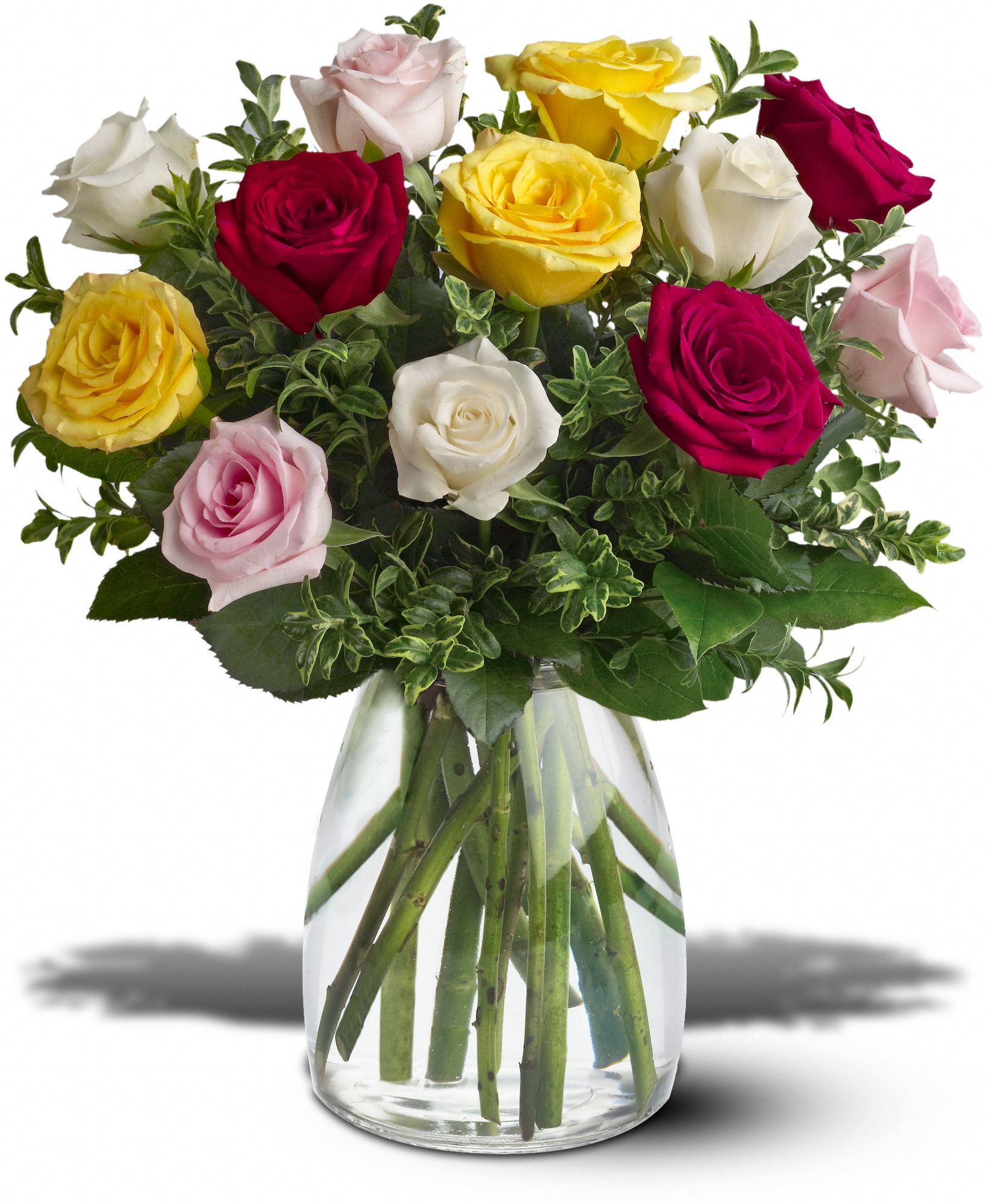 Stems... A Florist, Scottsdale, Arizona - A Dozen Mixed Roses, picture