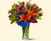 Stems... A Florist, Scottsdale, Arizona - Burst of Color, picture