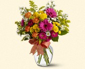 Stems... A Florist, Scottsdale, Arizona - Heat Wave, picture