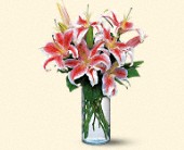 Stems... A Florist, Scottsdale, Arizona - Lovely Lilies, picture