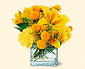 Stems... A Florist, Scottsdale, Arizona - Sunshine Thoughts, picture