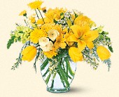 Stems... A Florist, Scottsdale, Arizona - Sunshine Express, picture