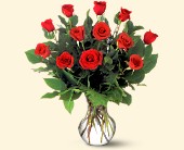 Stems... A Florist, Scottsdale, Arizona - A Dozen Premium Red Roses, picture