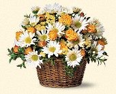 Stems... A Florist, Scottsdale, Arizona - Joyful Roses and Daisies, picture