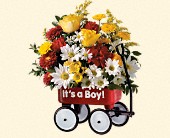 Stems... A Florist, Scottsdale, Arizona - Teleflora's Baby's First Wagon, picture