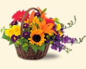 Stems... A Florist, Scottsdale, Arizona - Basket of Blooms, picture