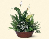 Stems... A Florist, Scottsdale, Arizona - White Garden, picture