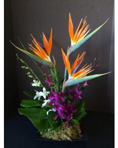 Hawaiian Flowers Beauty