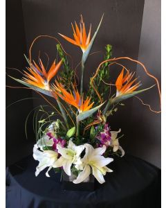 Tropical Flowers with Bird of Paradise