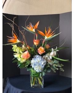 Tropical Valentine's Day Flowers with Orchids, bird of paradise and hydrangea 